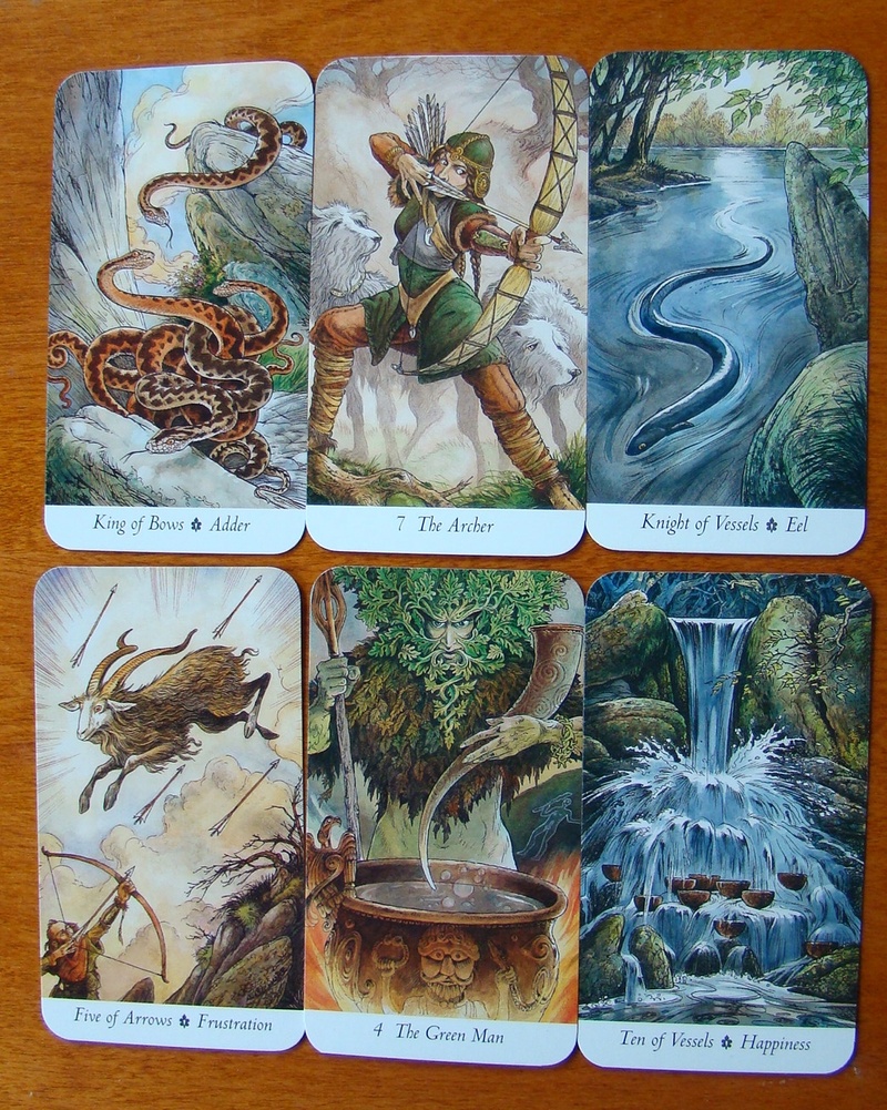 Карты красота. The Wildwood Tarot. Таро дикого леса. Druidcraft Tarot. Wildwood Tarot галерея. Таро Эйтеллы.