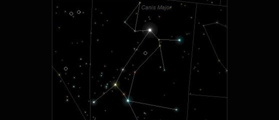 Созвездие дог. Canis Major Созвездие. Созвездие пса Сириус. Canis Major звезда.